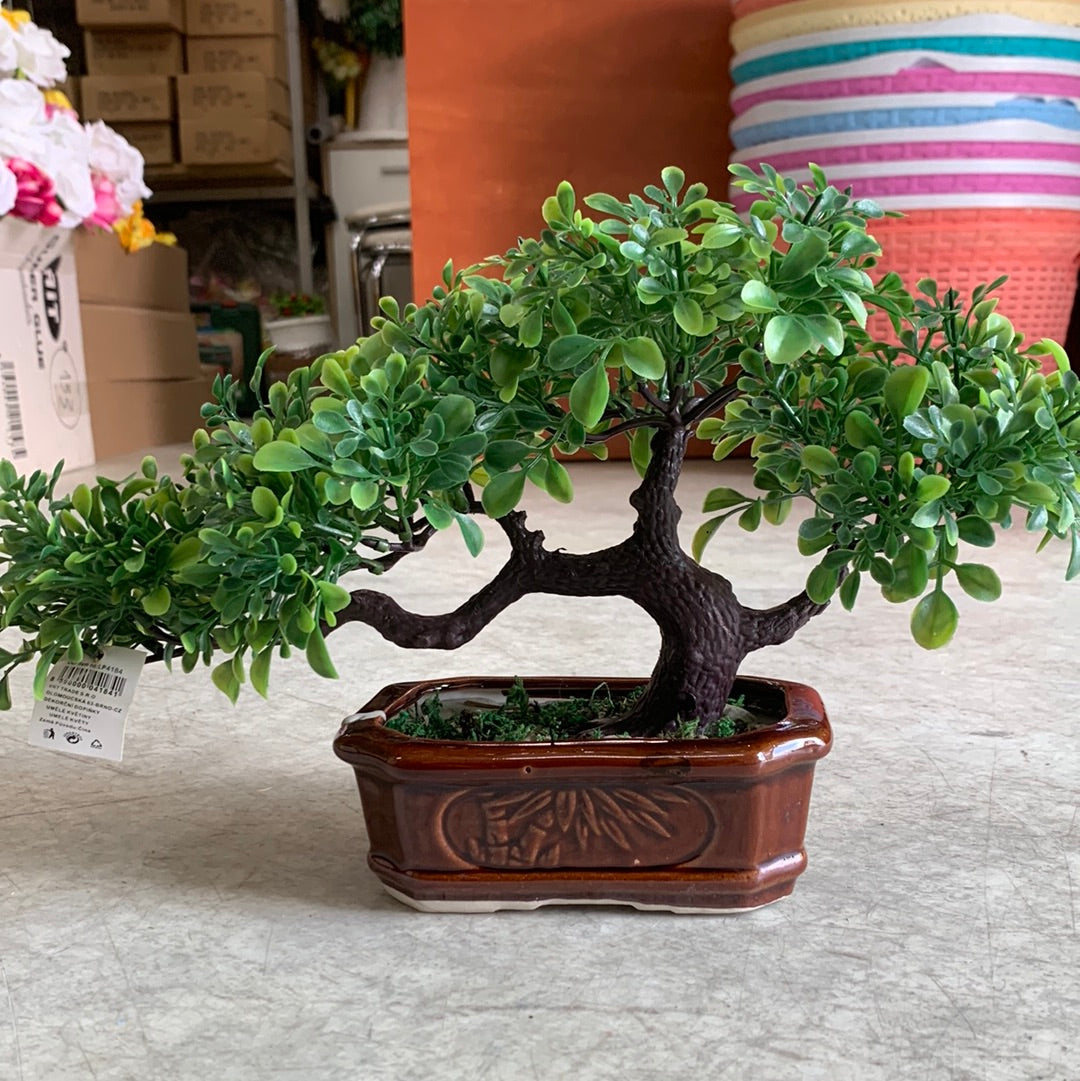 Bát Hoa bonsai lp4184
