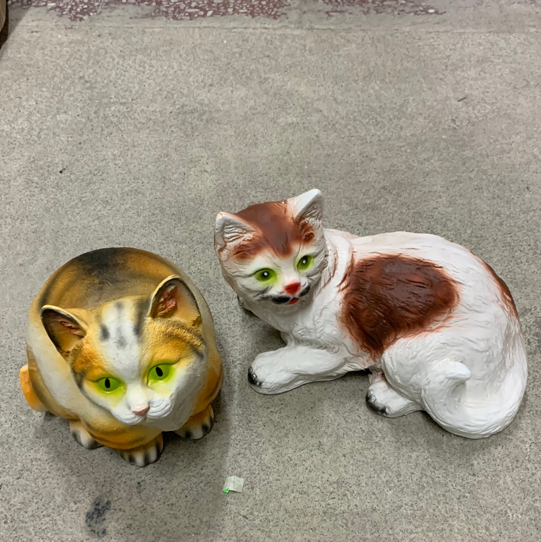 Mèo Bé