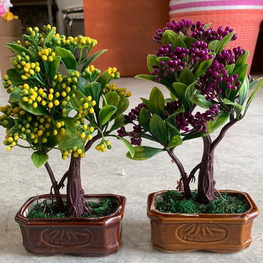 Bát Hoa bonsai