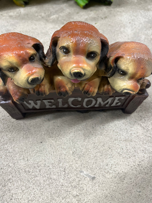 Chó Welcome