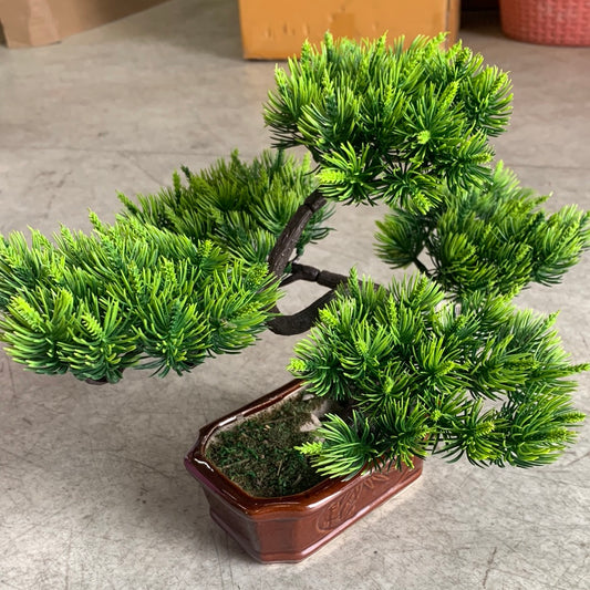 Bát Hoa bonsai lp4185